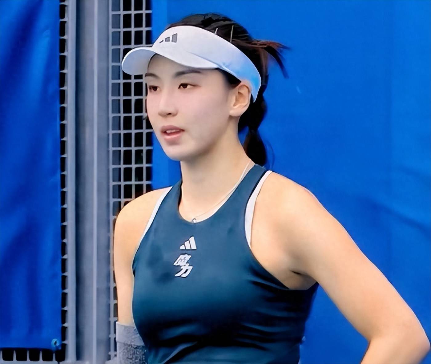 山东泰山的 山东泰山的